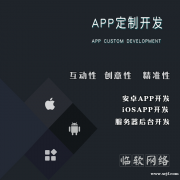 解析定制APP的特点
